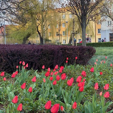 Mona Wrzeszcz Daire Gdansk Dış mekan fotoğraf